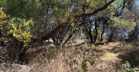 3423 Vallecito Bypass Rd, Vallecito, CA 95251 Photo