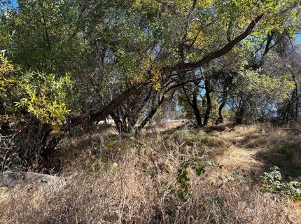 3423 Vallecito Bypass Rd, Vallecito, CA 95251 Photo