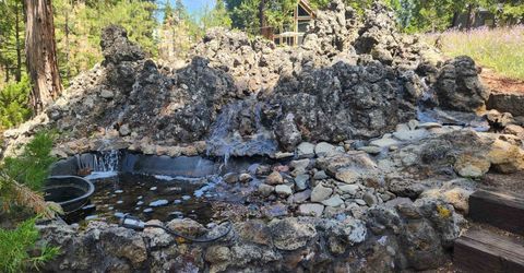 309 Osprey Loop, Lake Almanor, CA 96020 Photo