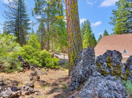 309 Osprey Loop, Lake Almanor, CA 96020 Photo