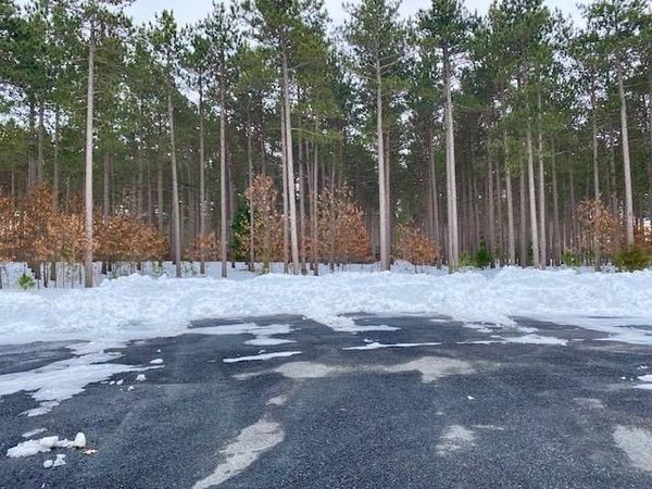 Lot 28 19th Boulevard, Friendship, WI 53934