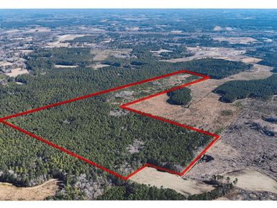 0 Gabes Place, Reevesville, SC 29471