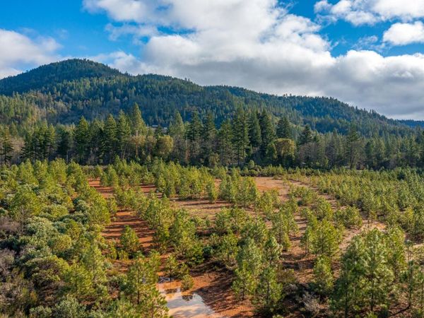 499 Laurel Road, Cave Junction, OR 97523