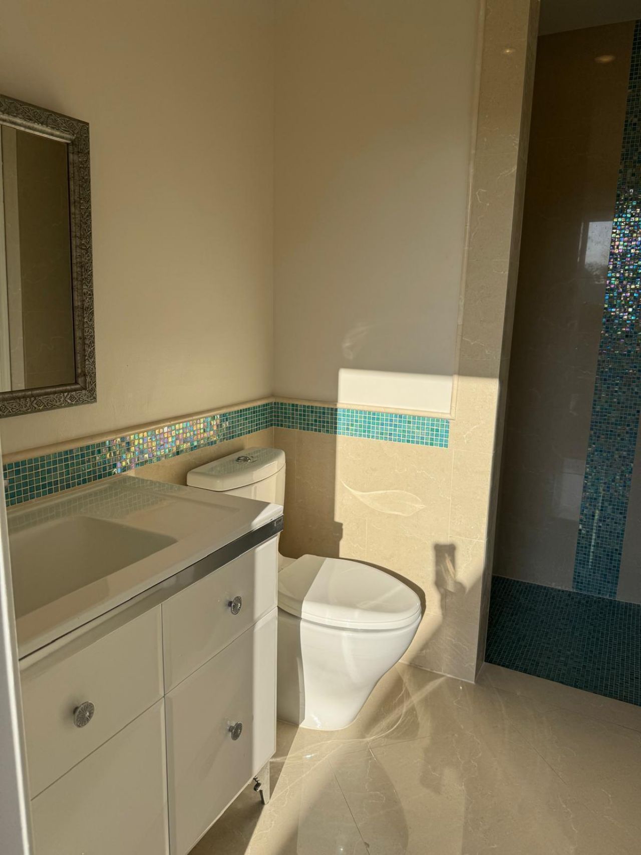 2825 NW Banyan Boulevard Cir Circle Nw, Boca Raton, FL 33431 Photo