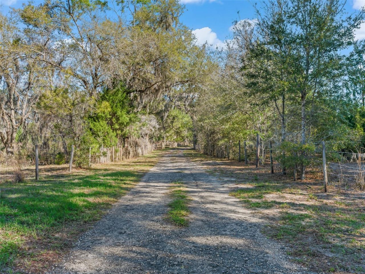 6350 NE 86th Avenue, Bronson, FL 32621 Photo