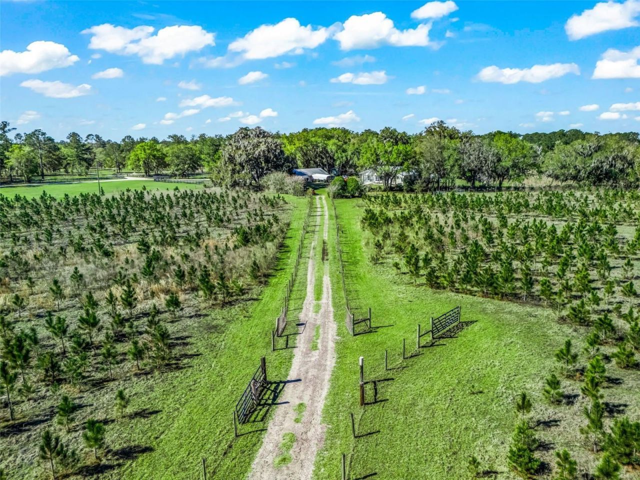 6350 NE 86th Avenue, Bronson, FL 32621 Photo