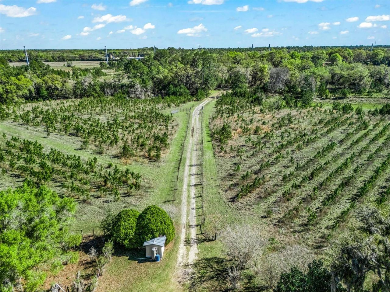 6350 NE 86th Avenue, Bronson, FL 32621 Photo