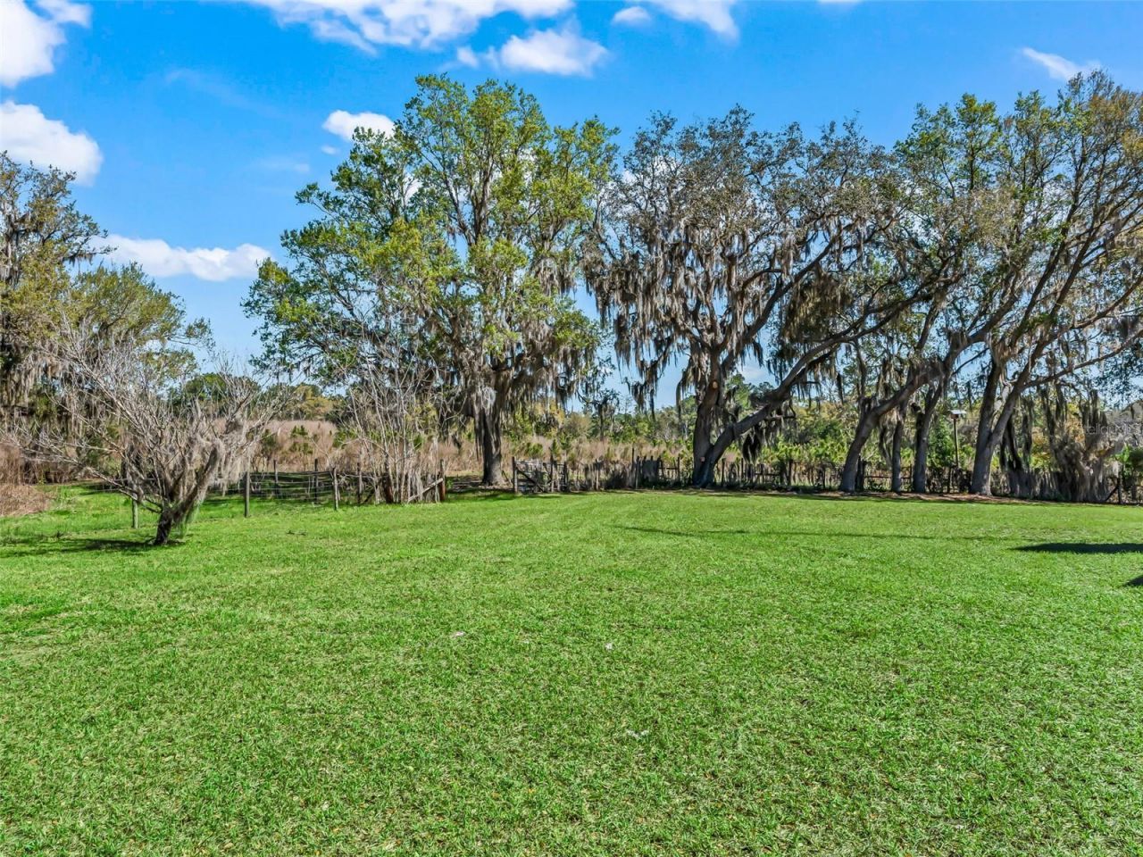 6350 NE 86th Avenue, Bronson, FL 32621 Photo