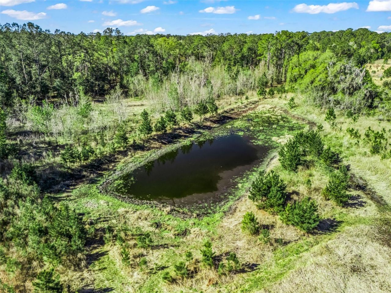 6350 NE 86th Avenue , Bronson, FL 32621 Photo