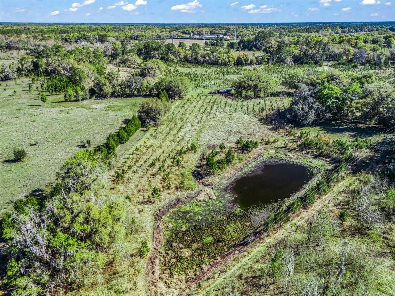 6350 NE 86th Avenue, Bronson, FL 32621 Photo