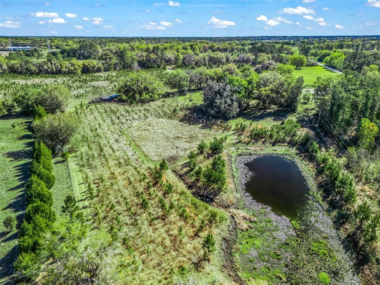 6350 NE 86th Avenue, Bronson, FL 32621 Photo