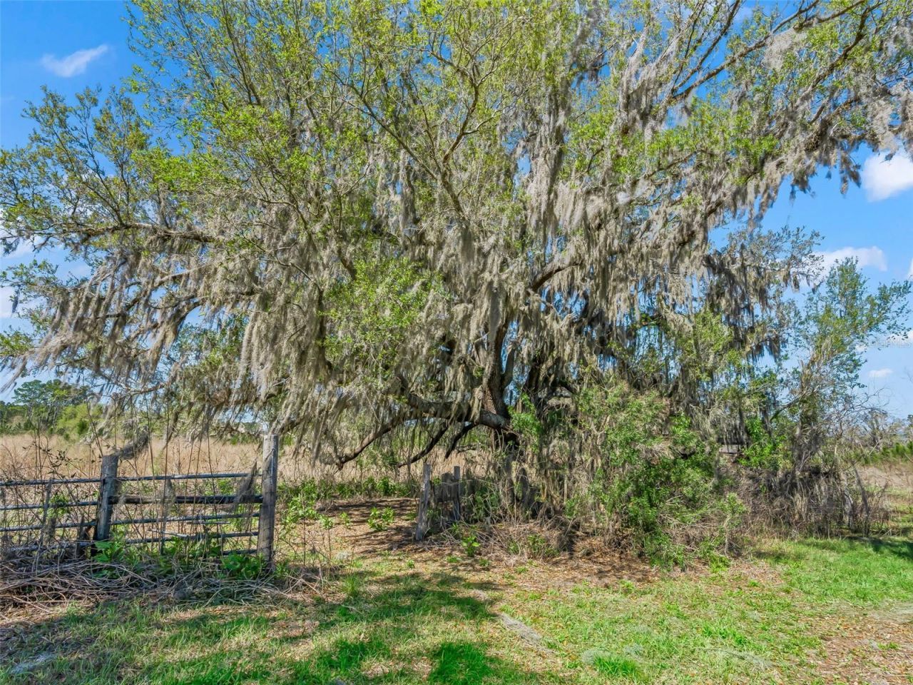 6350 NE 86th Avenue, Bronson, FL 32621 Photo