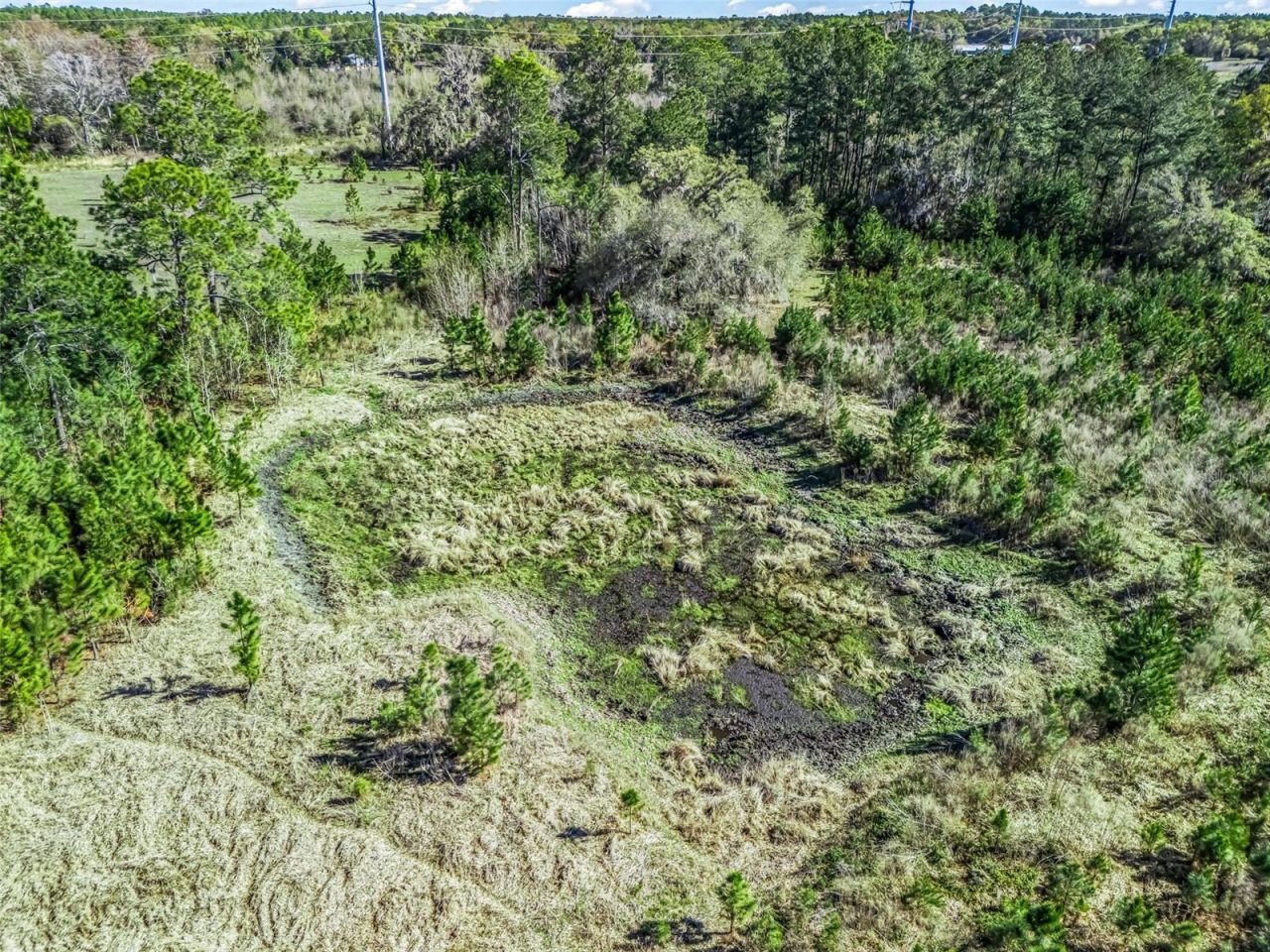 6350 NE 86th Avenue, Bronson, FL 32621 Photo