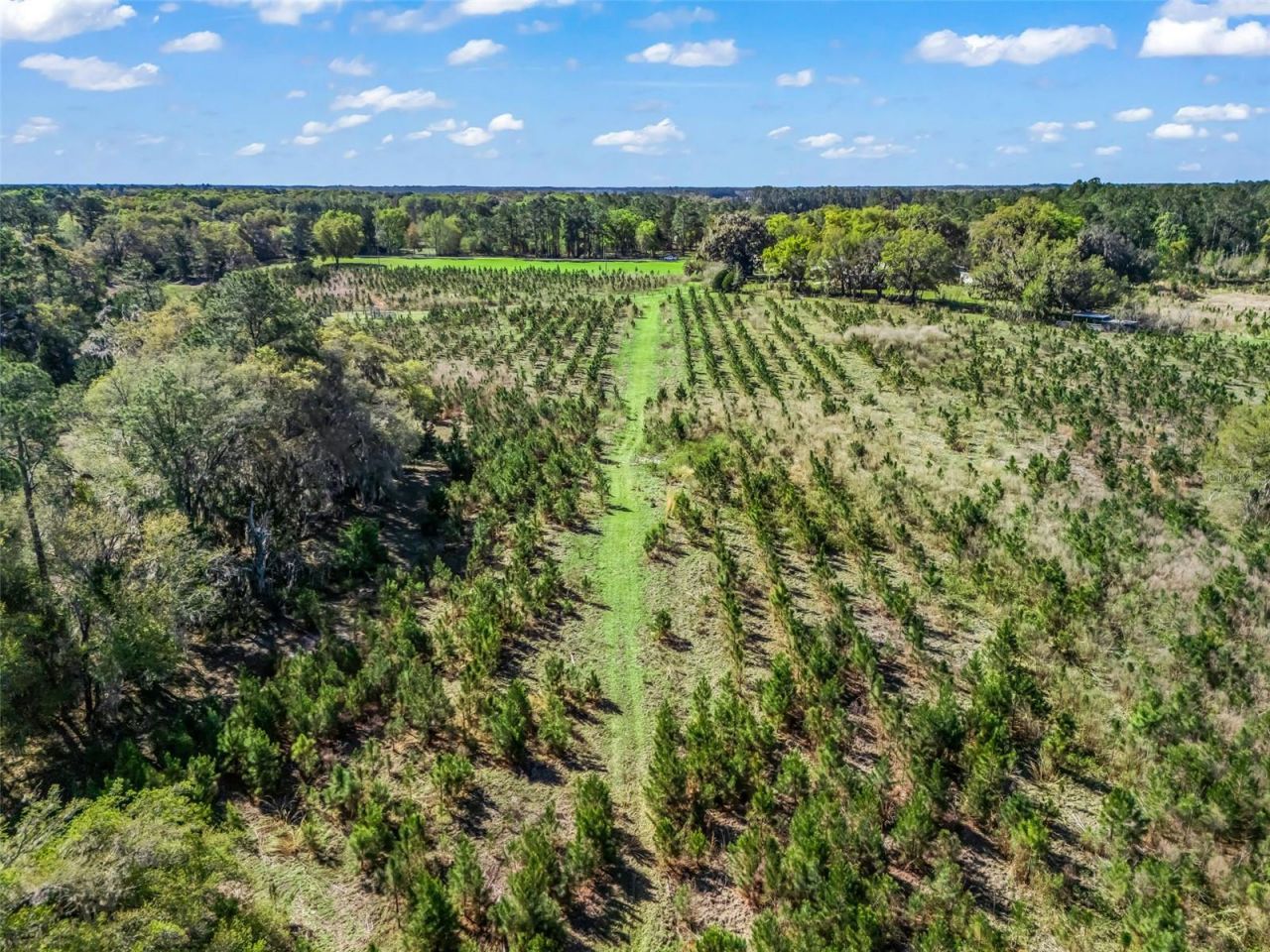 6350 NE 86th Avenue , Bronson, FL 32621 Photo