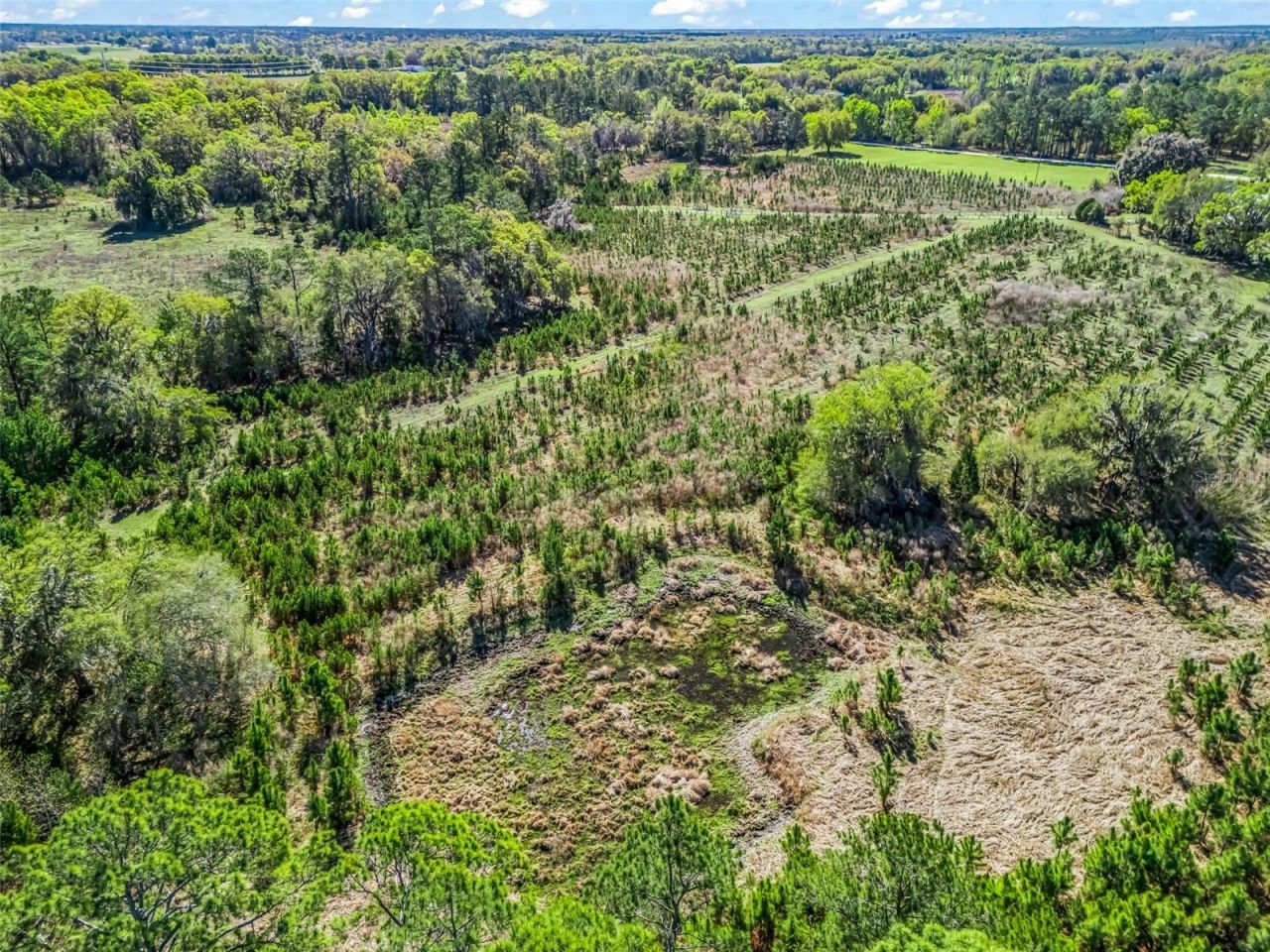 6350 NE 86th Avenue , Bronson, FL 32621 Photo