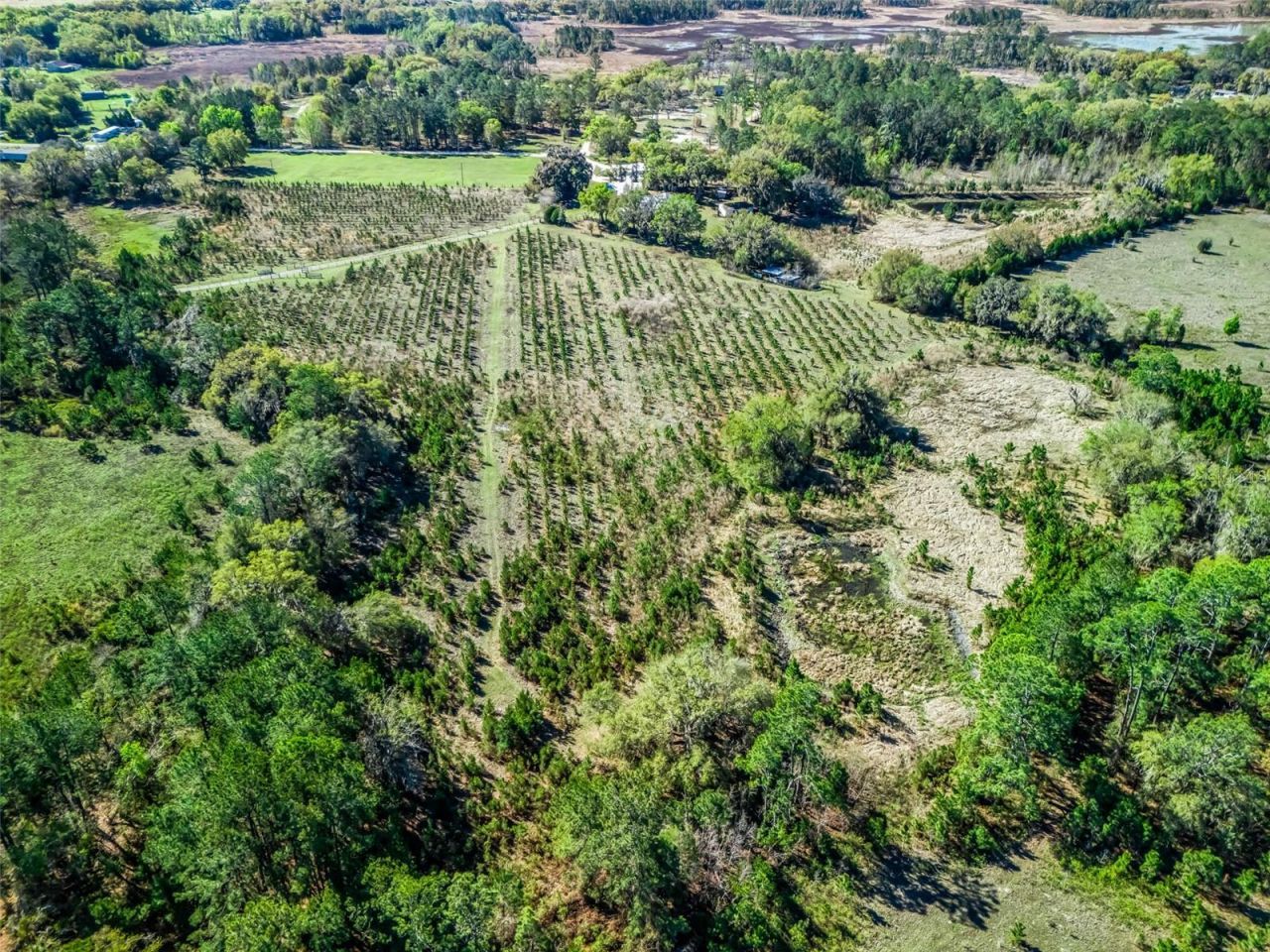 6350 NE 86th Avenue, Bronson, FL 32621 Photo