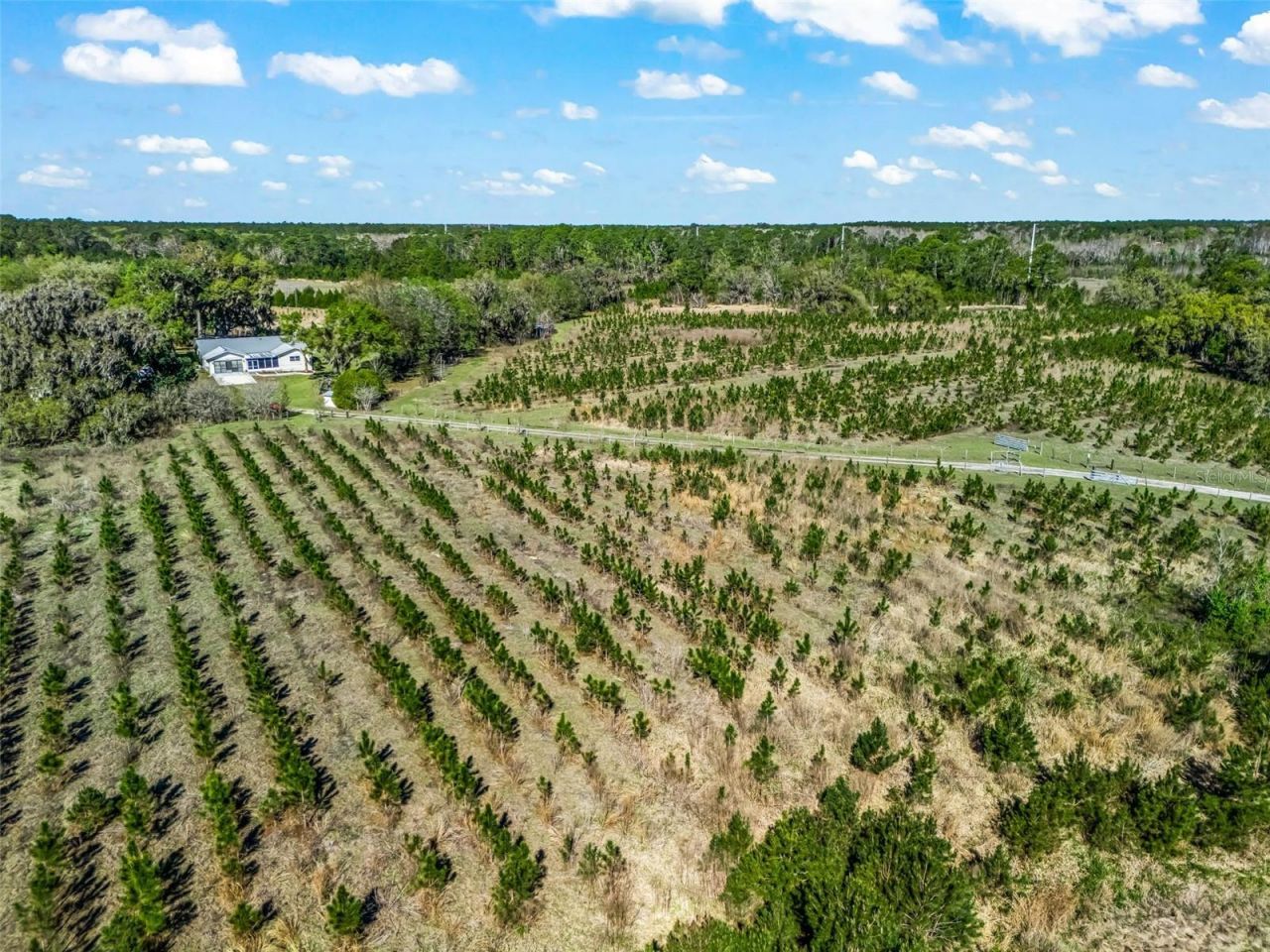 6350 NE 86th Avenue, Bronson, FL 32621 Photo