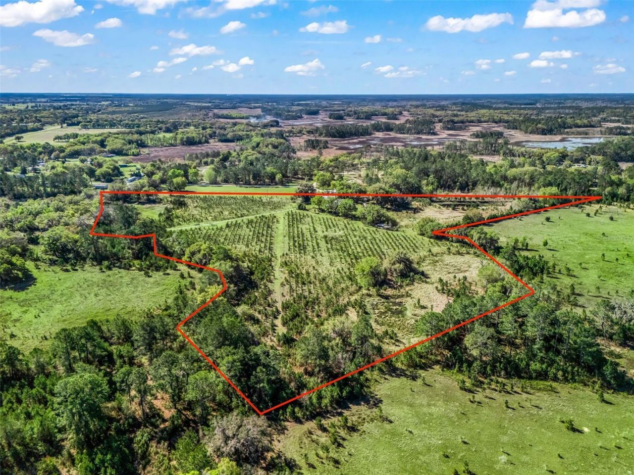 6350 NE 86th Avenue , Bronson, FL 32621 Photo