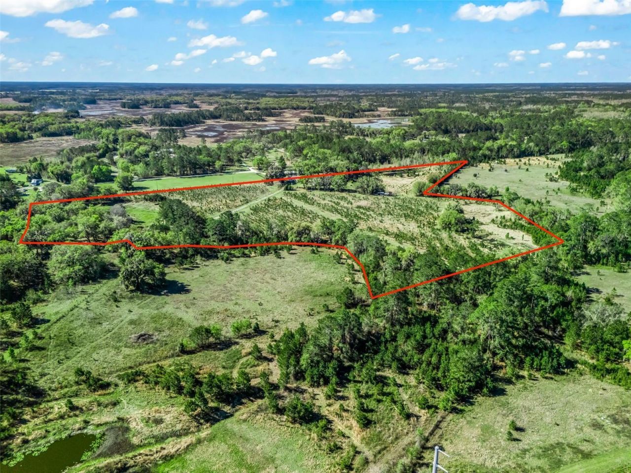 6350 NE 86th Avenue , Bronson, FL 32621 Photo