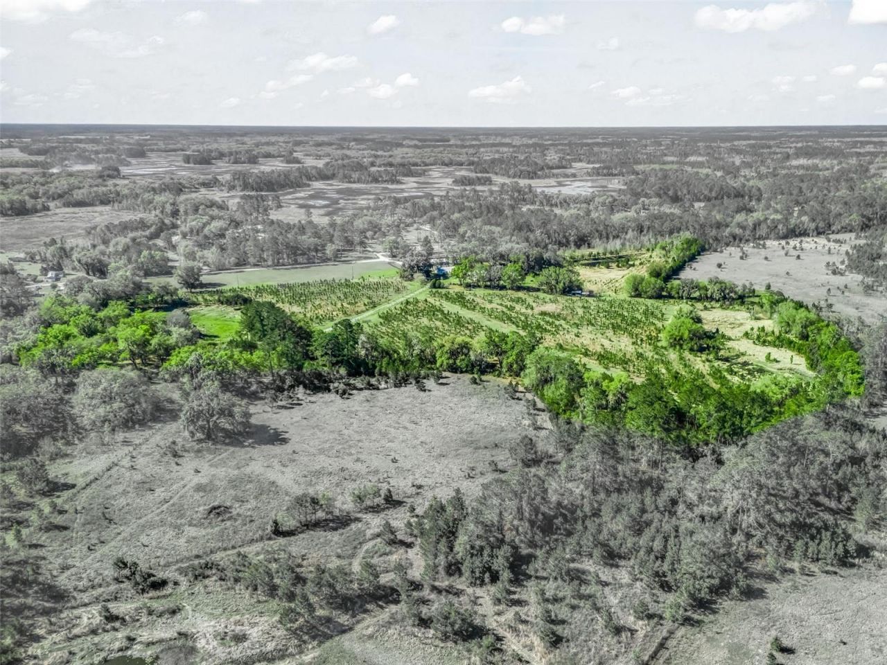 6350 NE 86th Avenue , Bronson, FL 32621 Photo