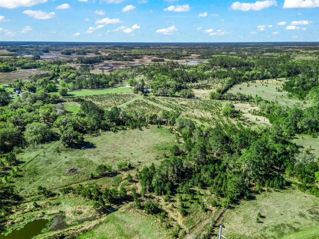 6350 NE 86th Avenue, Bronson, FL 32621 Photo