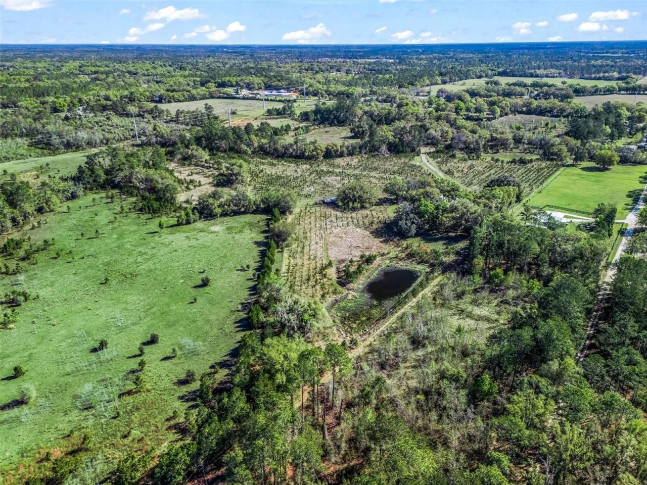 6350 NE 86th Avenue, Bronson, FL 32621 Photo