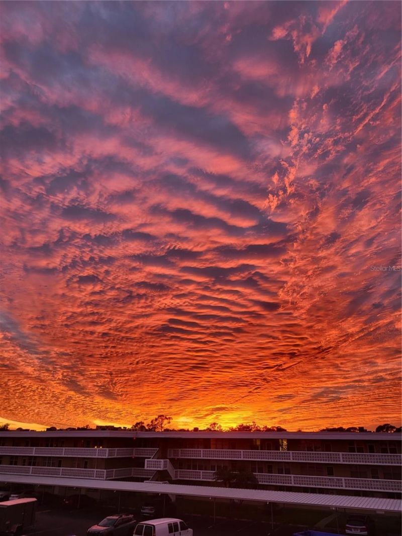 4895 Bay Street Ne, Unit 212, Saint Petersburg, FL 33703 Photo