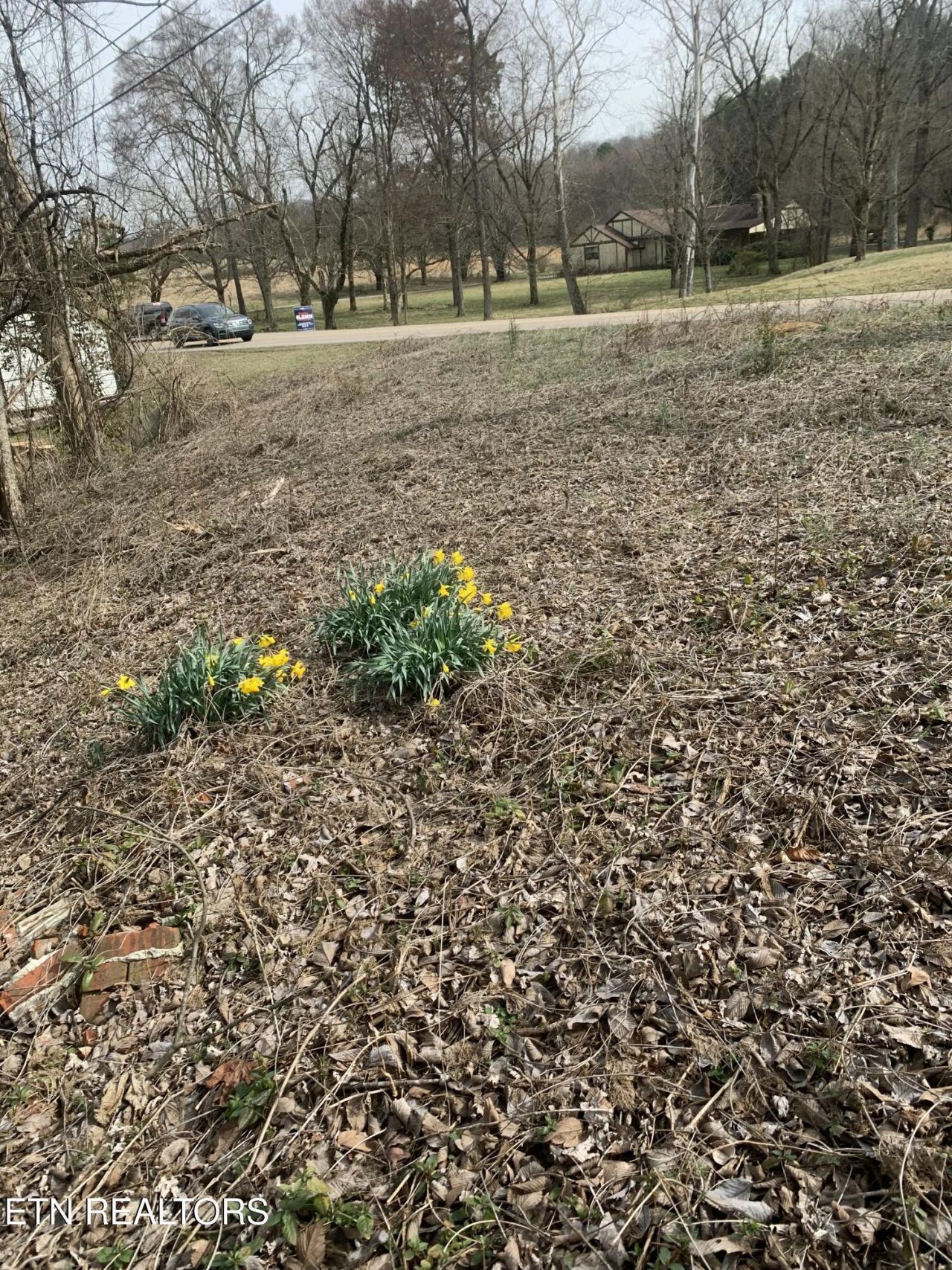 2711 Cunningham Rd, Knoxville, TN 37918 Main Photo