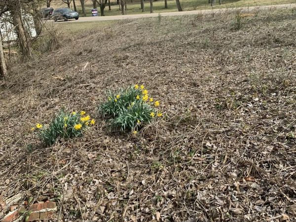 2711 Cunningham Rd, Knoxville, TN 37918