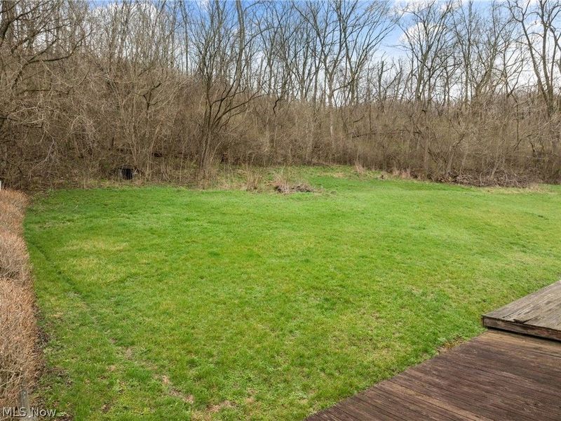 55249 Locust Drive, Bridgeport, OH 43912 Photo 32