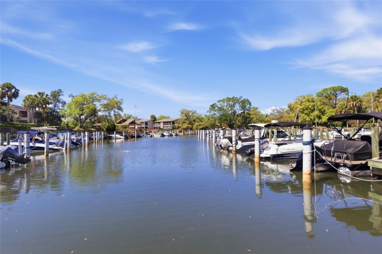 1628 Clower Creek Drive , Unit 225, Sarasota, FL 34231 Photo