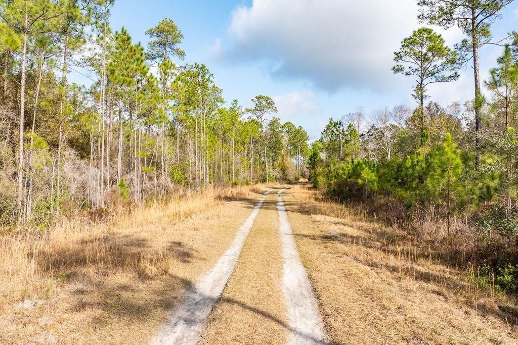 Tbd River Bend Plantation, Lot #12, Carrabelle, FL 32323 Photo