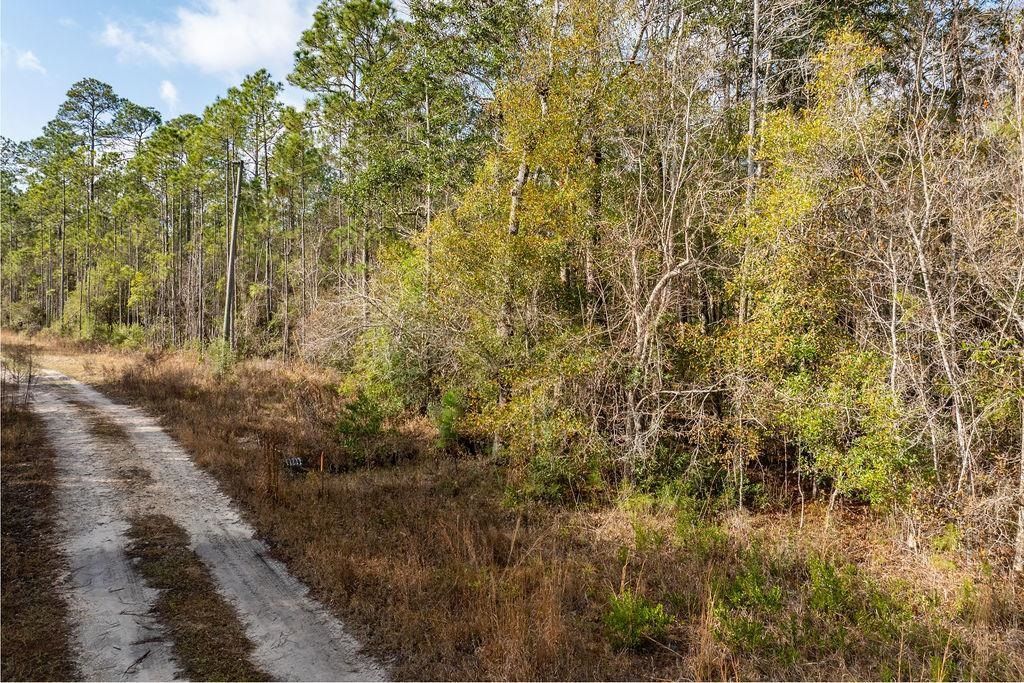 Tbd River Bend Plantation, Lot #12, Carrabelle, FL 32323 Photo