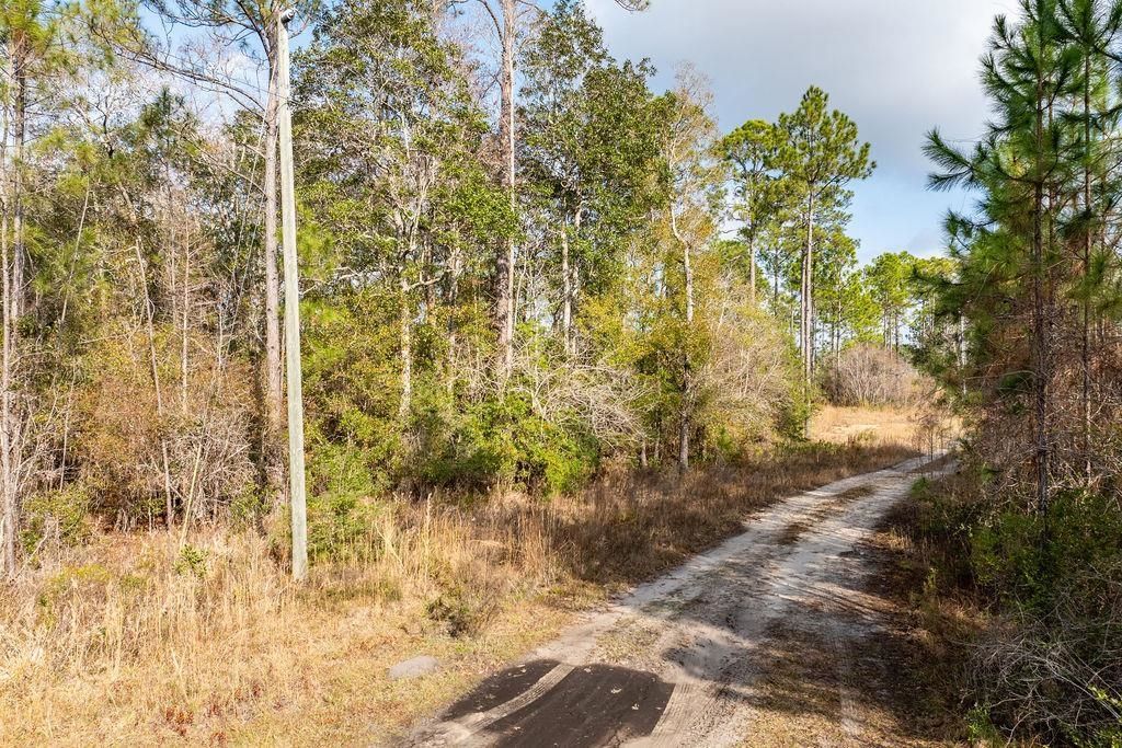 Tbd River Bend Plantation, Lot #12, Carrabelle, FL 32323 Photo