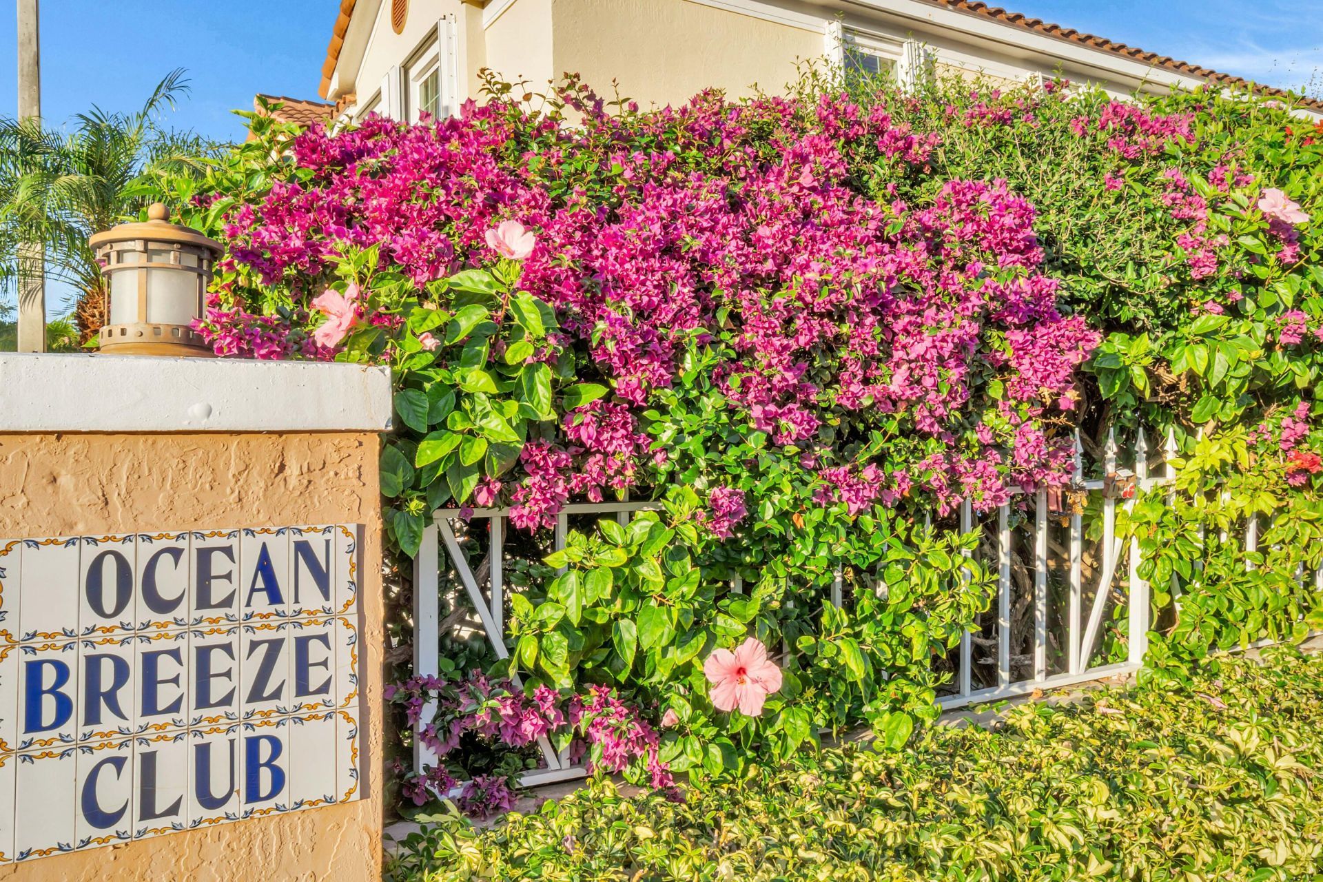 1950 NE 7th Street, Unit 105, Deerfield Beach, FL 33441 Photo