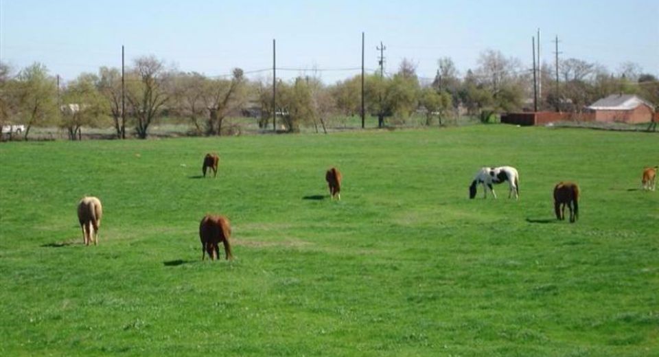 653 Claire Ave, Sacramento, CA 95838 Photo