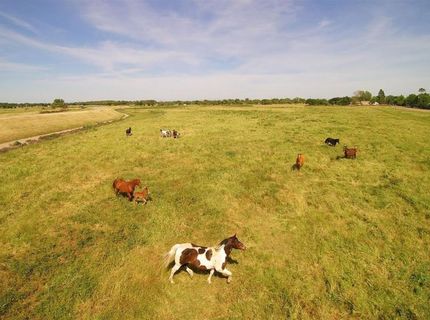 653 Claire Ave, Sacramento, CA 95838 Photo