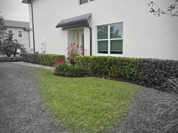 2906 Olivia Avenue, Lauderdale Lakes, FL 33311