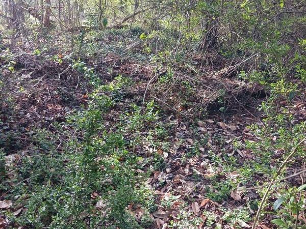 000 158 Lane, Dunnellon, FL 32024