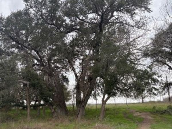 2082 Fm 318 , Hallettsville, TX 77964