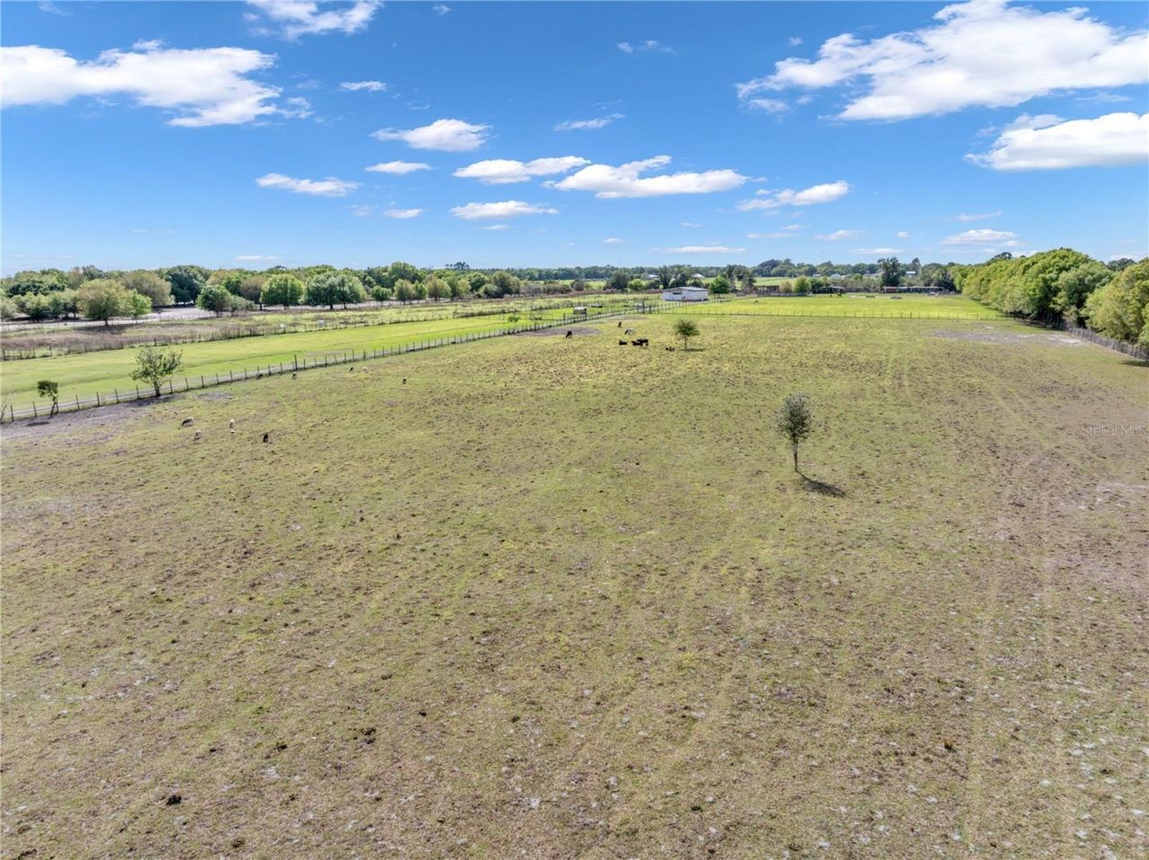 1333 Bluff Hammock Road , Lorida, FL 33857 Photo