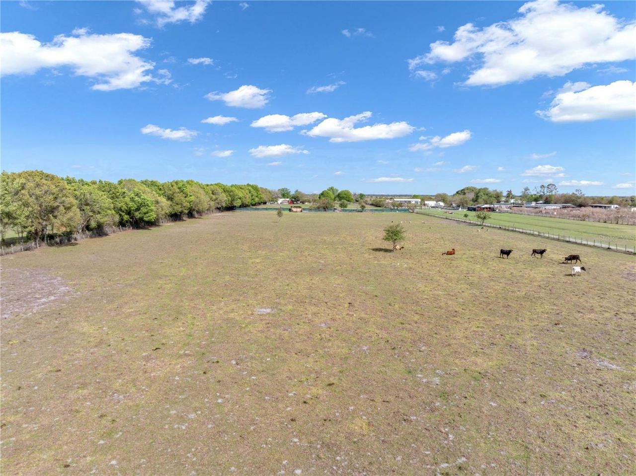 1333 Bluff Hammock Road , Lorida, FL 33857 Photo