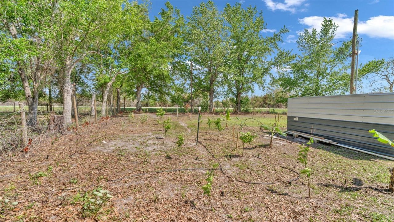 1333 Bluff Hammock Road , Lorida, FL 33857 Photo