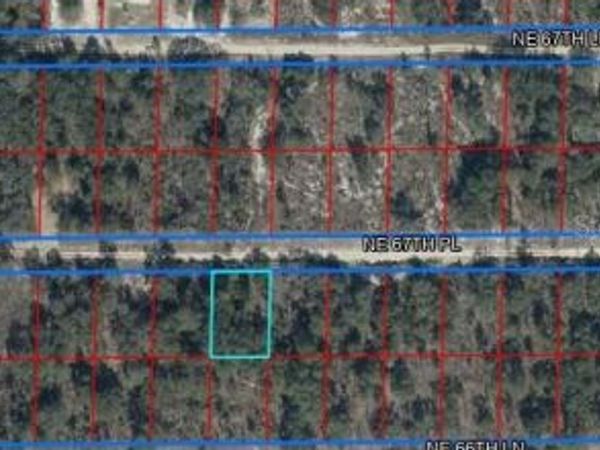 NE 67TH PLACE LOT 5 , WILLISTON, FL 32696