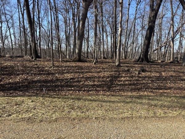 1784 Tanglewood Drive, Varna, IL 61375