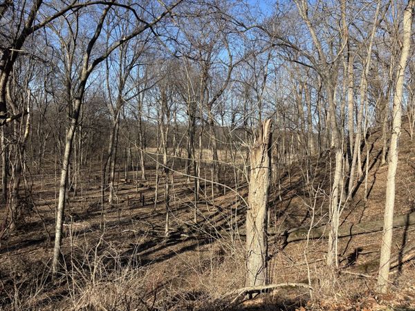 1784 Tanglewood Drive, Varna, IL 61375