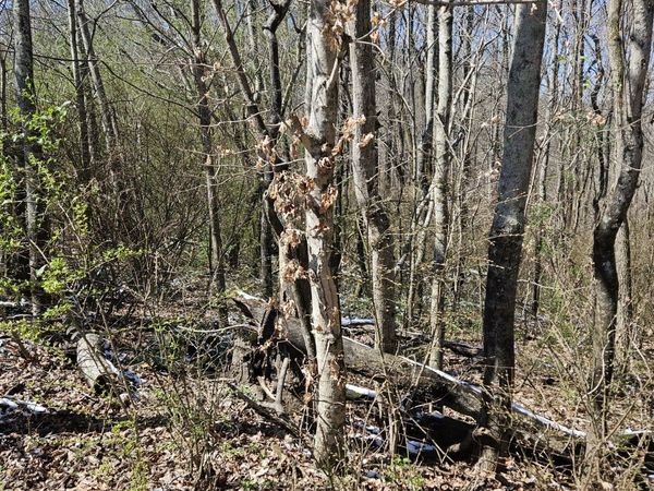0 Lakeview Dr, Unit 147, Smithville, TN 37166