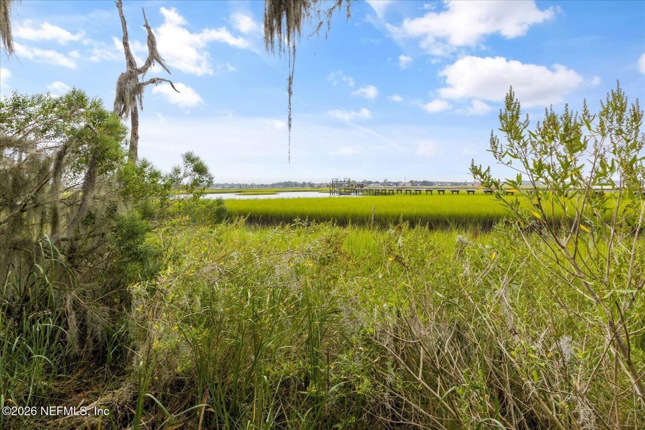 2041 Waterway Island Lane, Jacksonville Beach, FL 32250 Photo