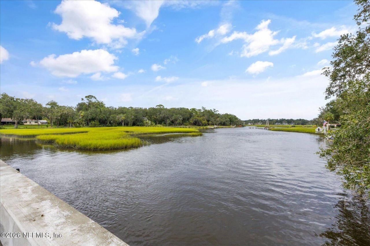 2041 Waterway Island Lane, Jacksonville Beach, FL 32250 Photo