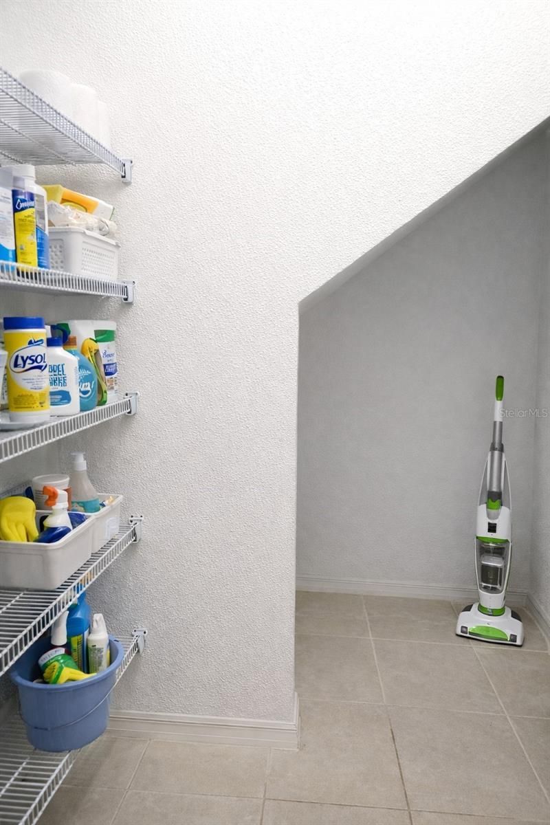 8913 Matriarca Aly , Windermere, FL 34786 Photo